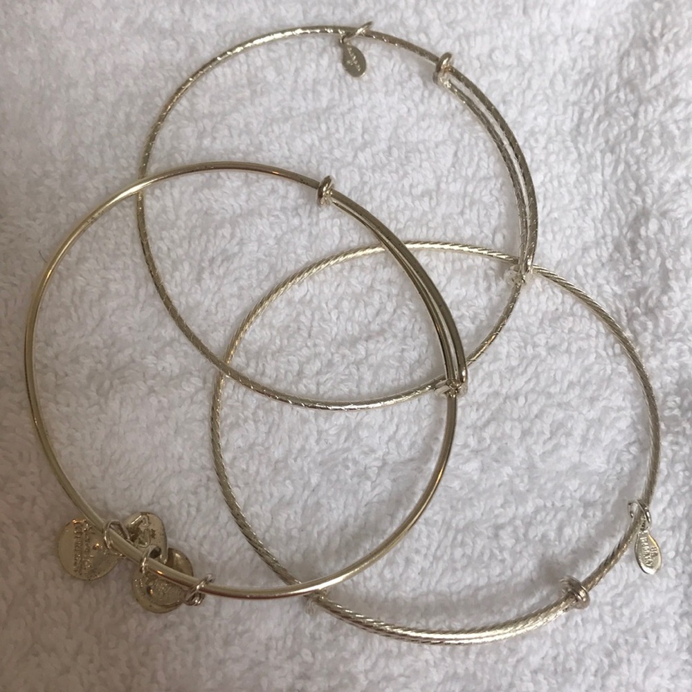 Alex and Ani Starter Silver Bangle Bracelet Set